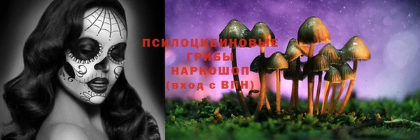 крисы Михайловка