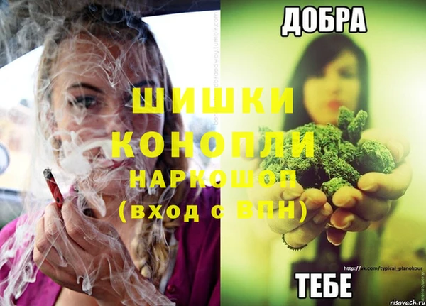 тгк Богданович