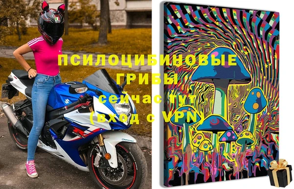 крисы Михайловка