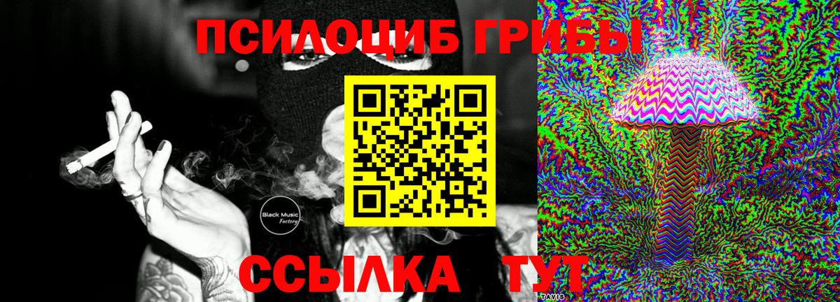 Каменск-Уральский  Псилоцибиновые грибы прущие грибы  Вход с VPN 