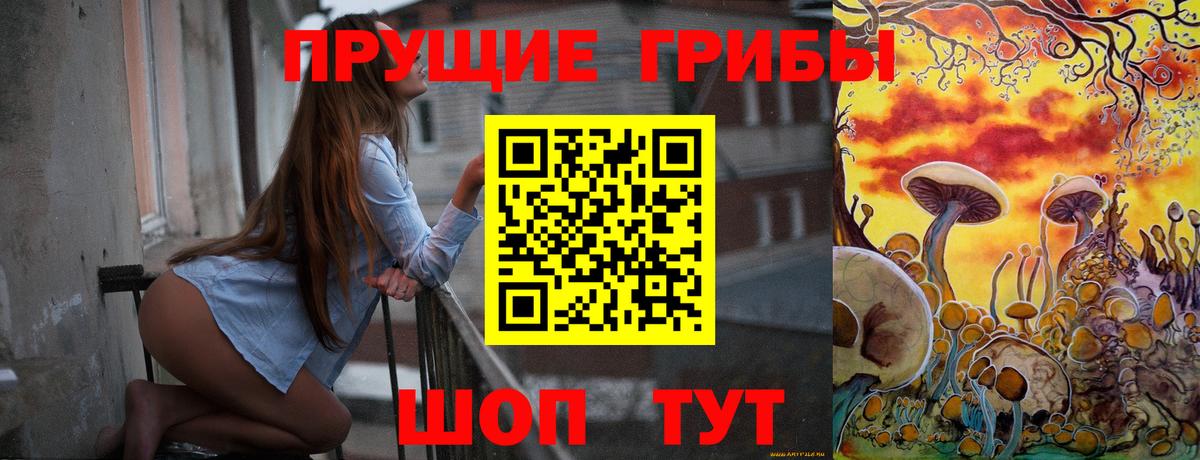 Псилоцибиновые грибы Psilocybe  Каменск-Уральский  Псилоцибиновые грибы мухоморы 